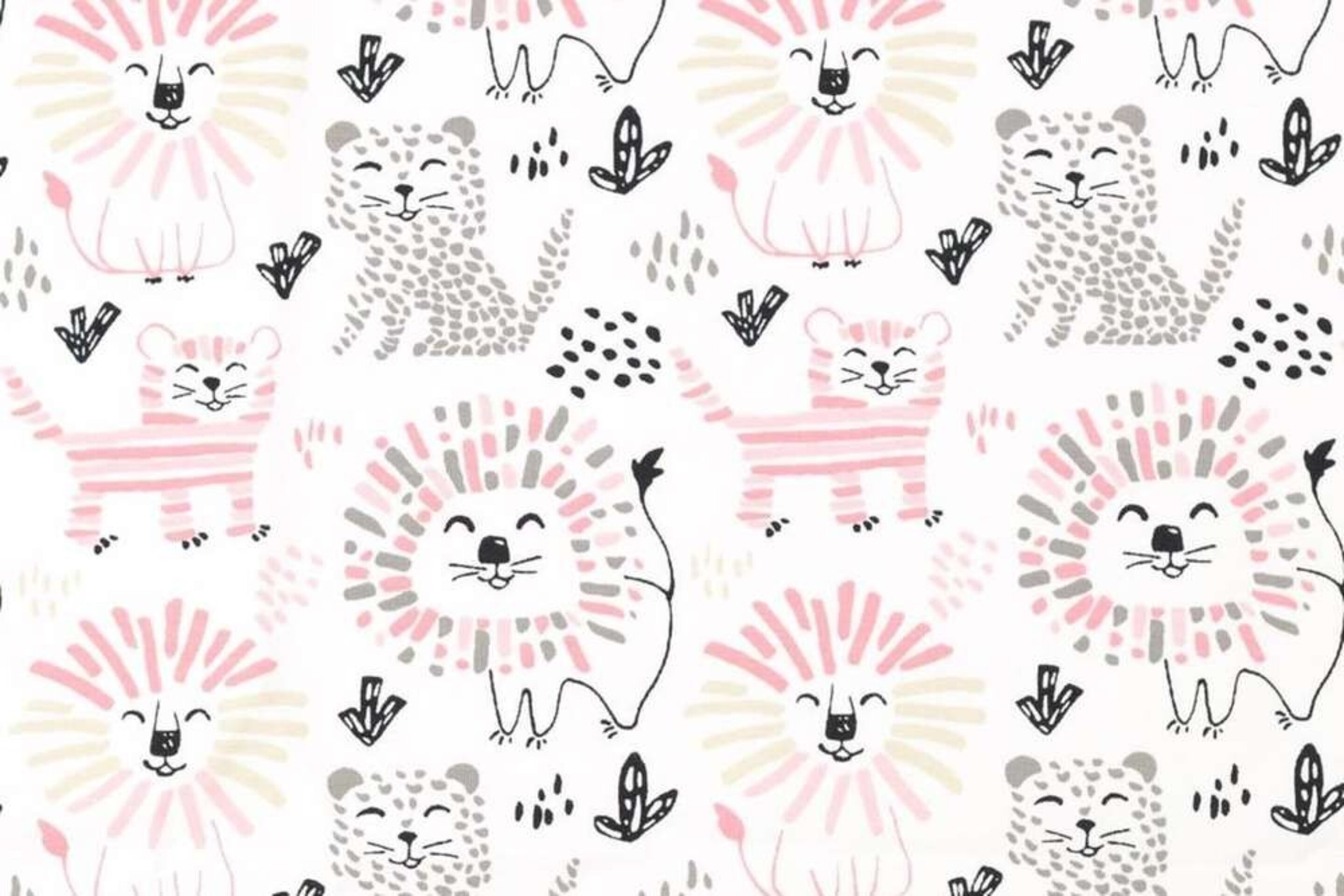 Leones pink - 1