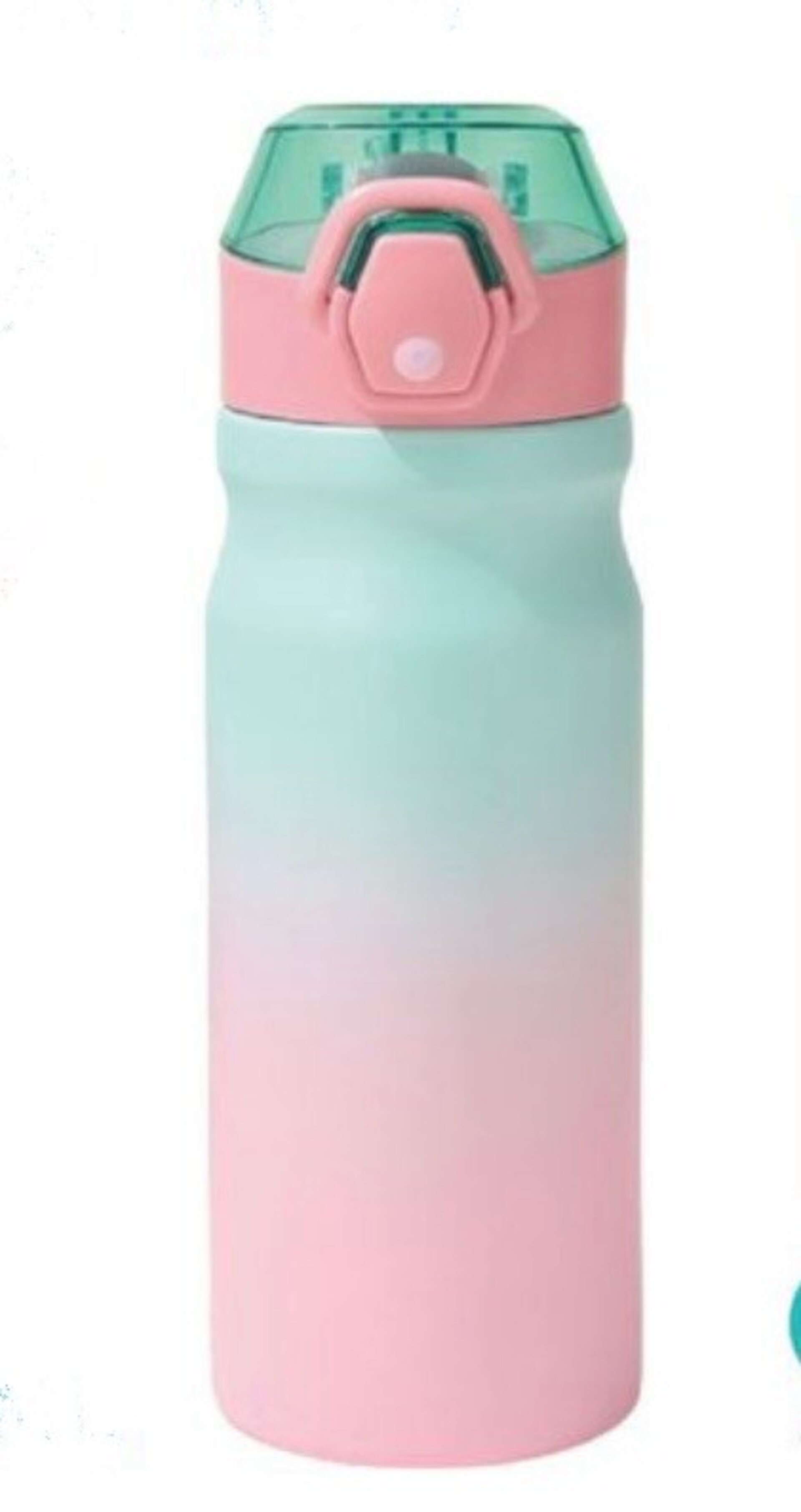 BOTELLA TERMO ACERO CON PAJITA 500ML - 11