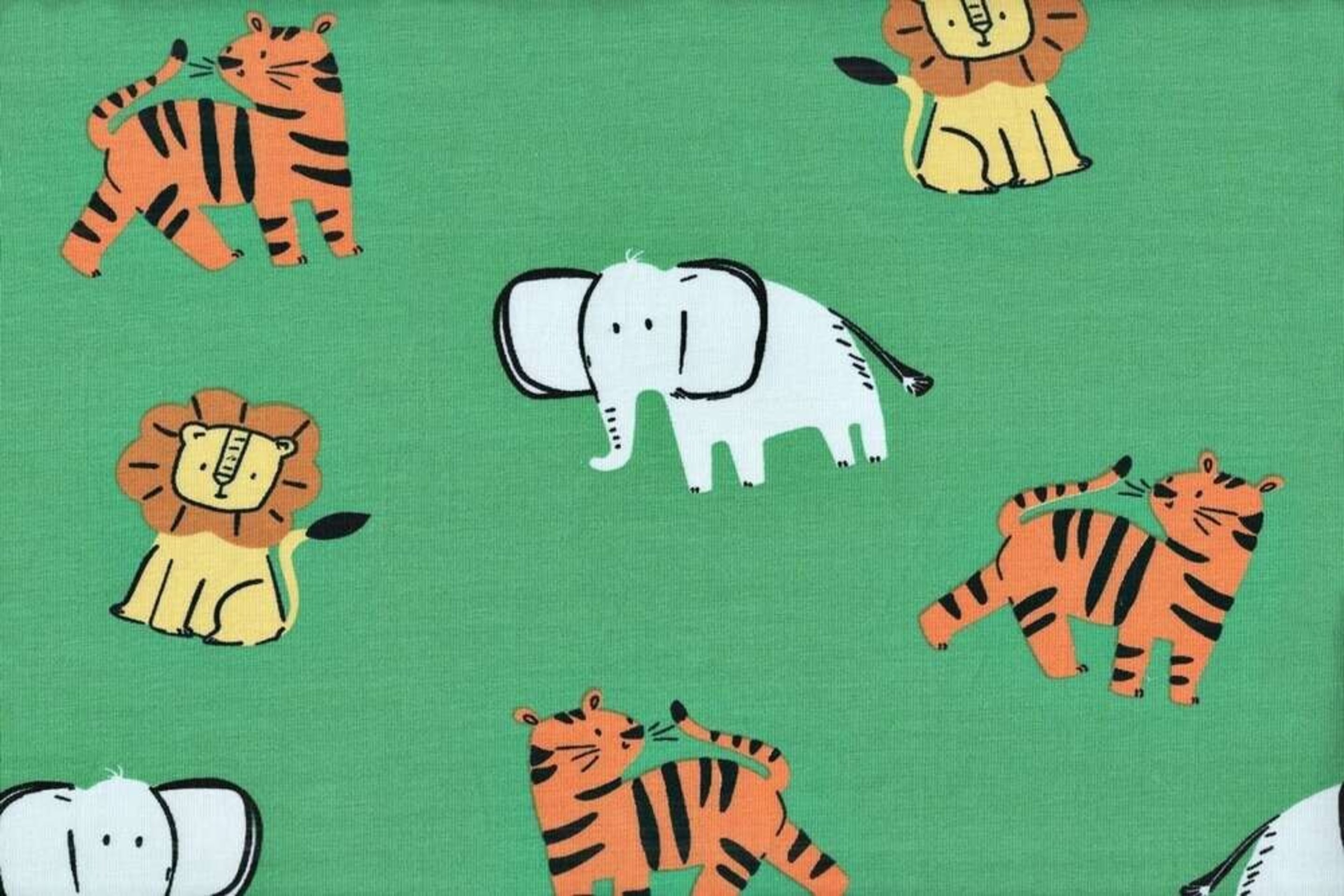 Safari - 1